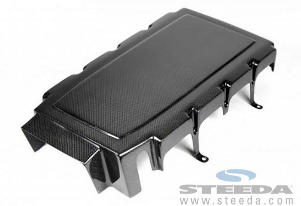 APR Performance Mustang Plenum Cover (05-10 GT)